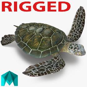 Sea Turtle Rigged for Maya